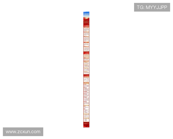 聚焦体育内容持续更新打造全天候专业资讯新阵地深度解析与实时报道并行